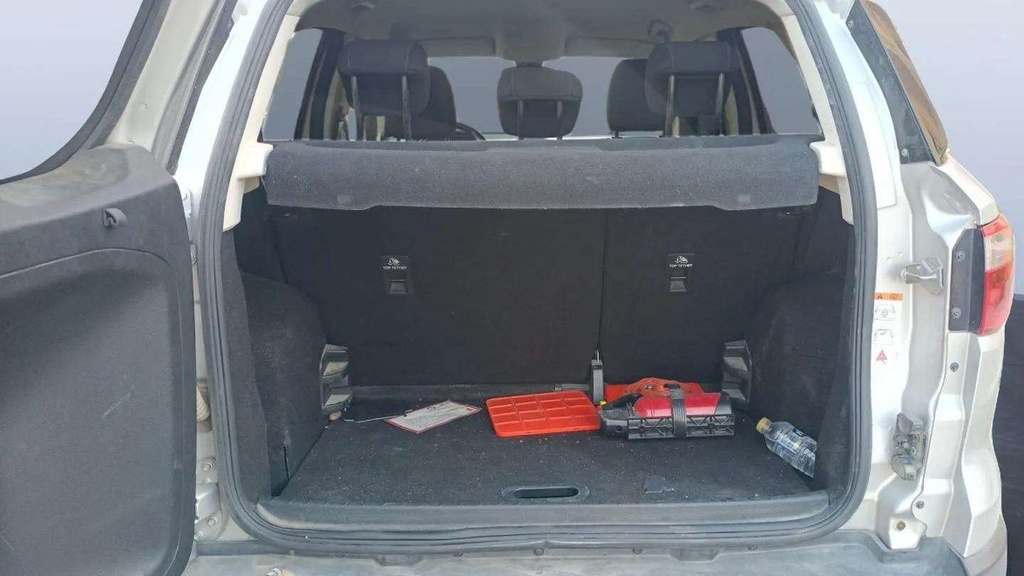 TRUNK