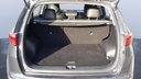 TRUNK