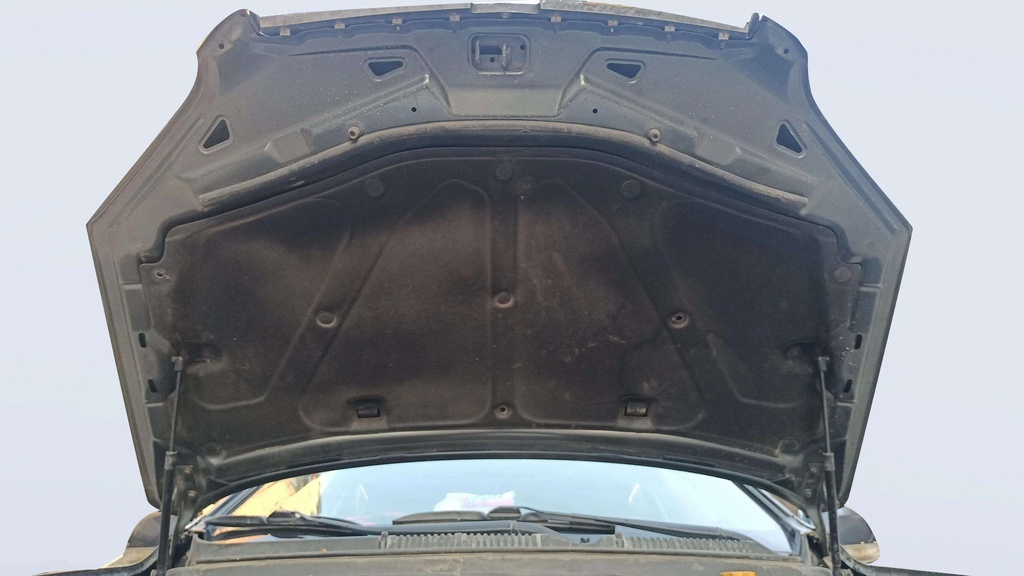 CAR HOOD