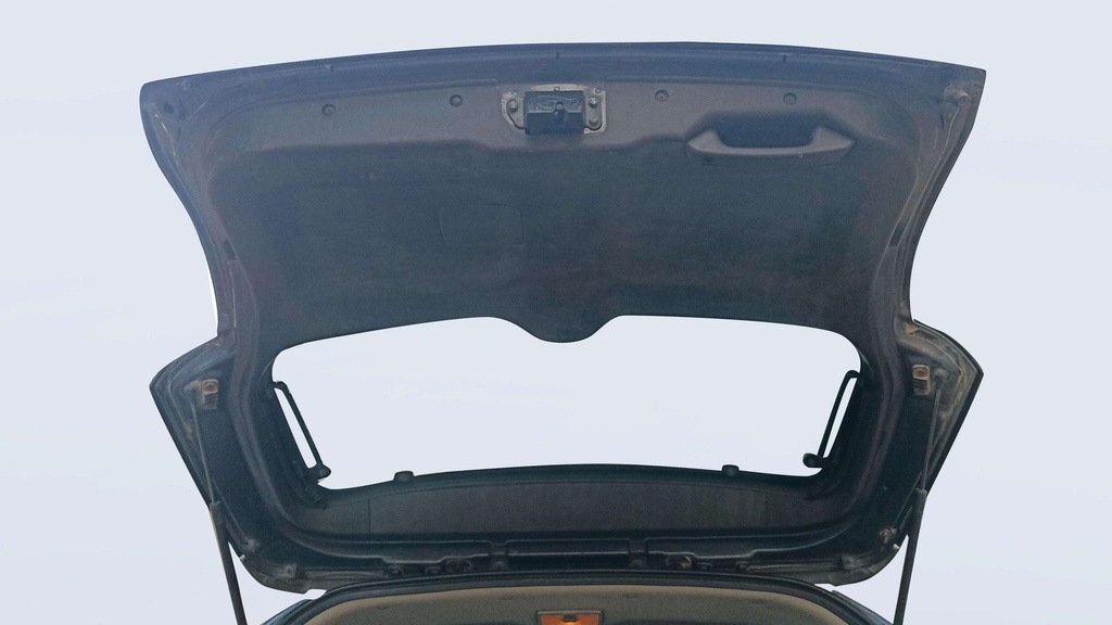 TRUNK HOOD
