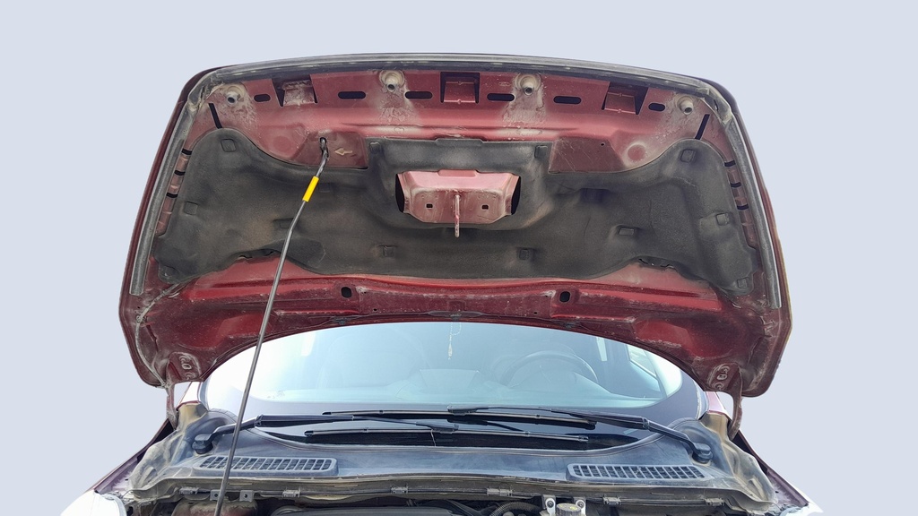 CAR HOOD
