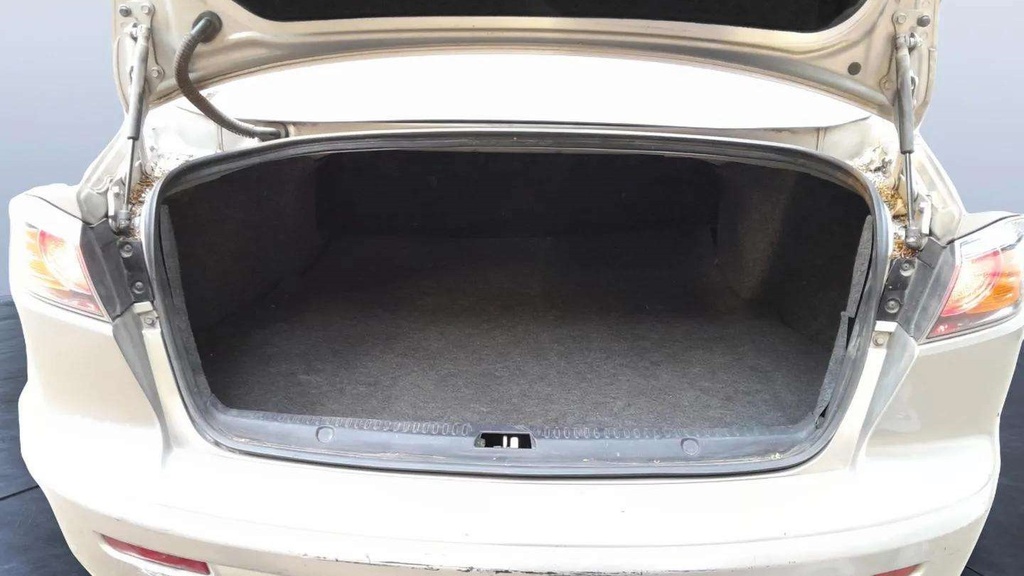 TRUNK