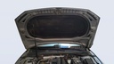 CAR HOOD