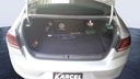 TRUNK