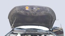 CAR HOOD