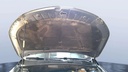 CAR HOOD