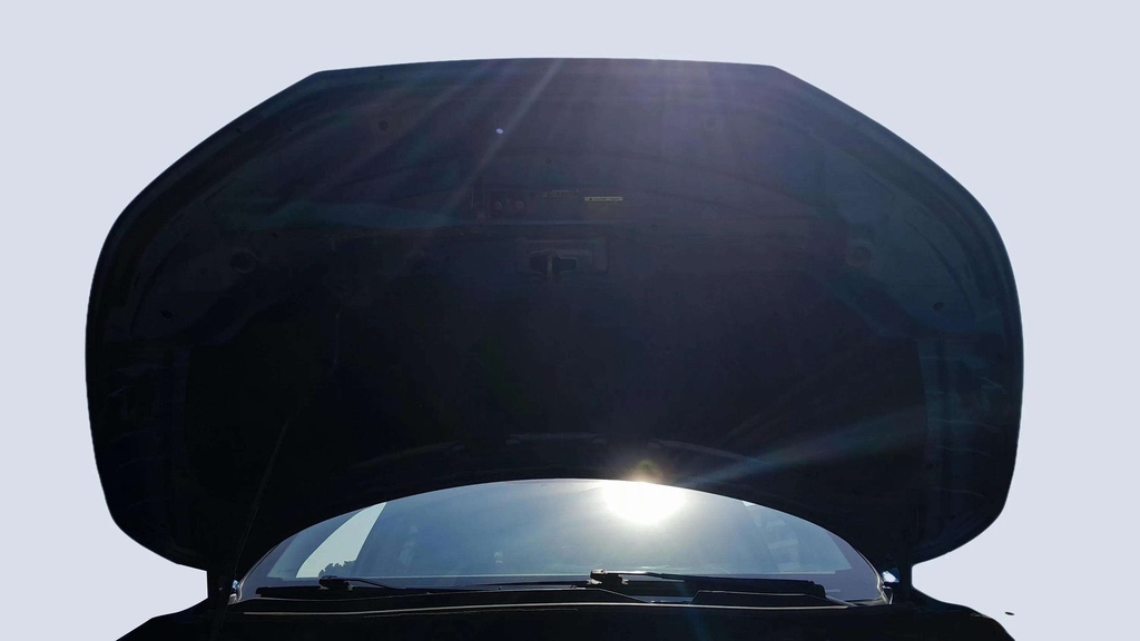 CAR HOOD