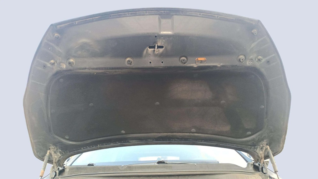 CAR HOOD