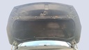 CAR HOOD