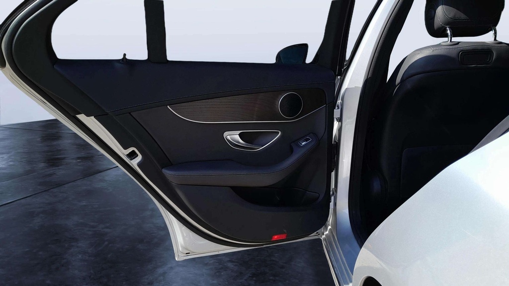 RR L DOOR