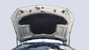 CAR HOOD