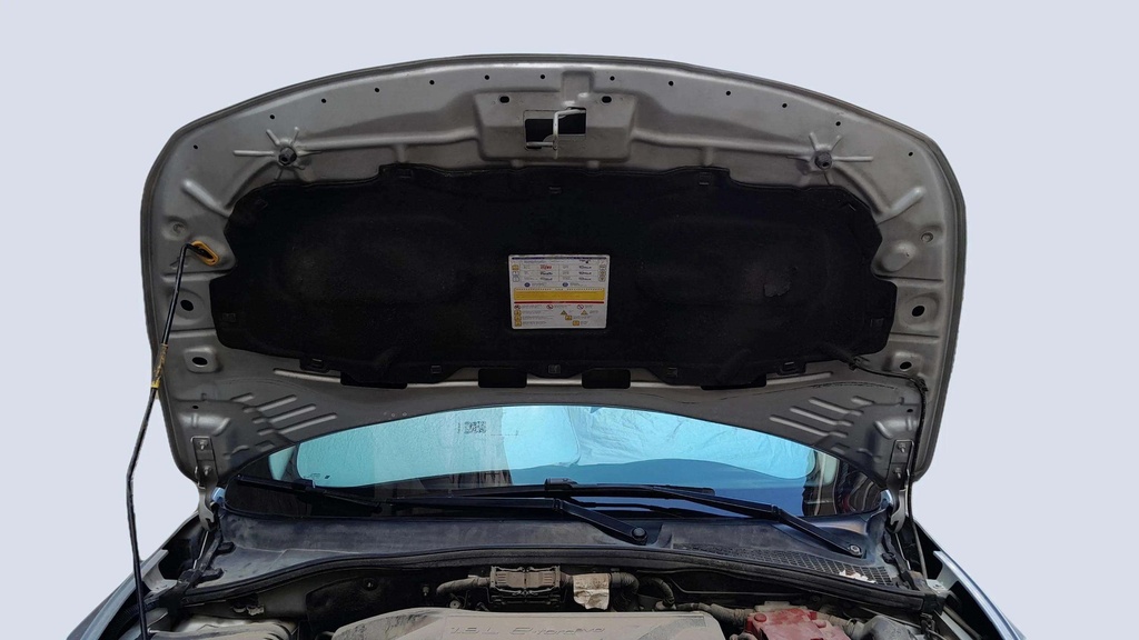 CAR HOOD