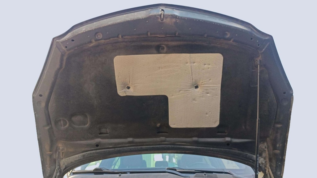 CAR HOOD