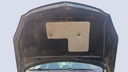CAR HOOD