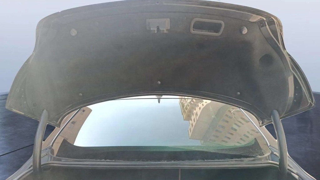 TRUNK HOOD