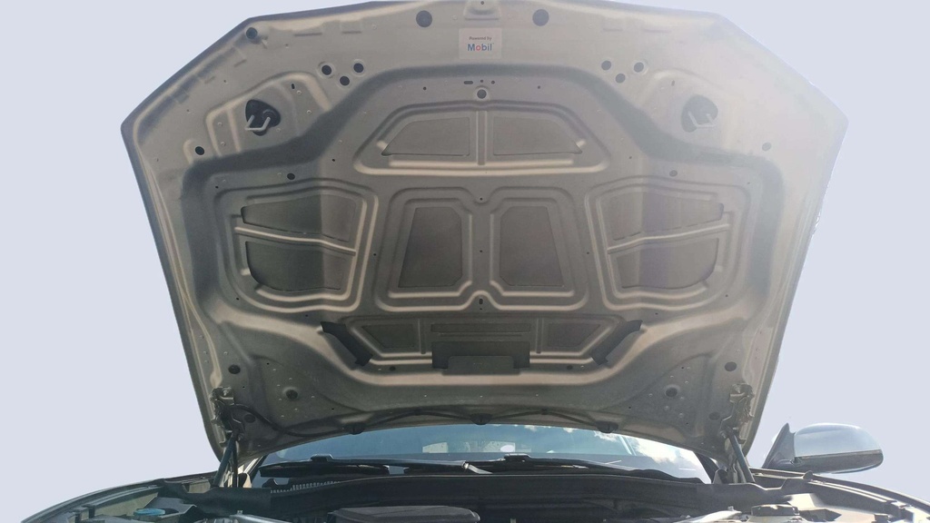 CAR HOOD