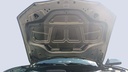 CAR HOOD