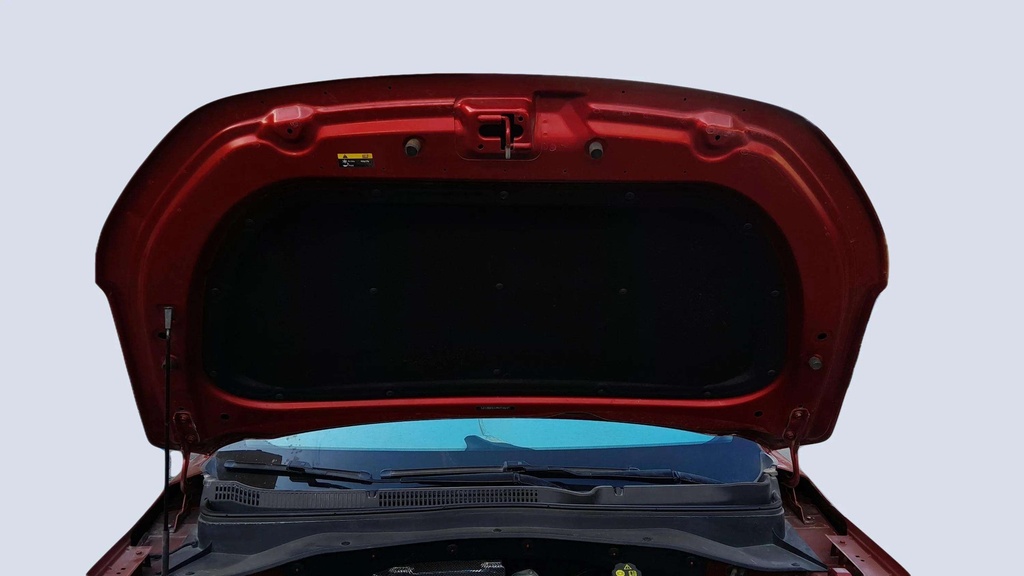 CAR HOOD