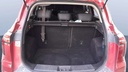 TRUNK