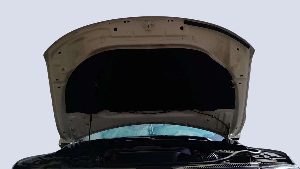 CAR HOOD