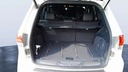TRUNK