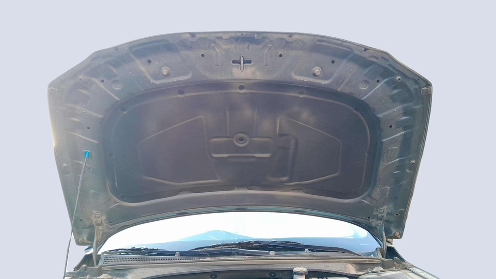 CAR HOOD