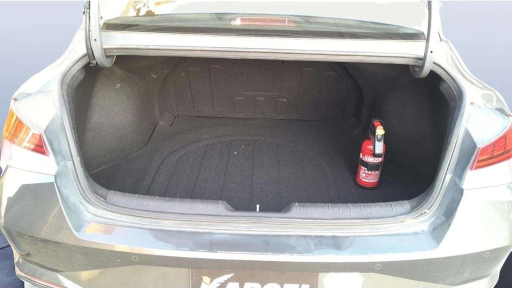 TRUNK
