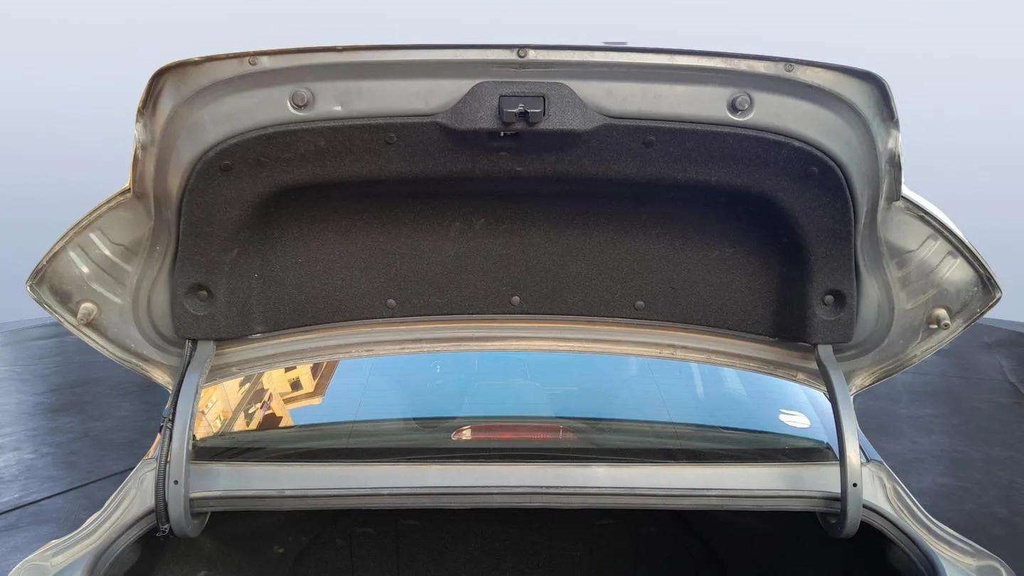 TRUNK HOOD