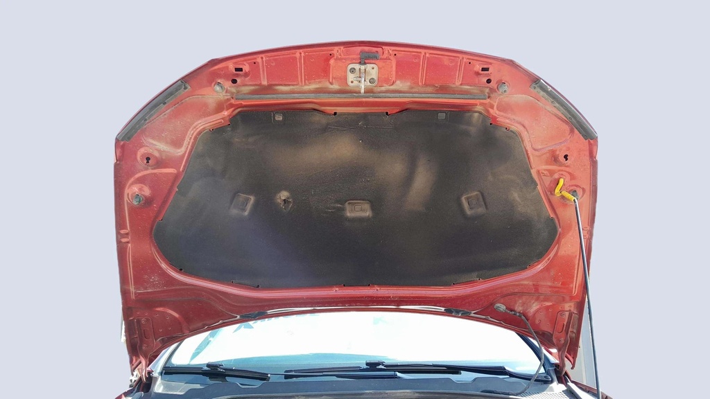 CAR HOOD