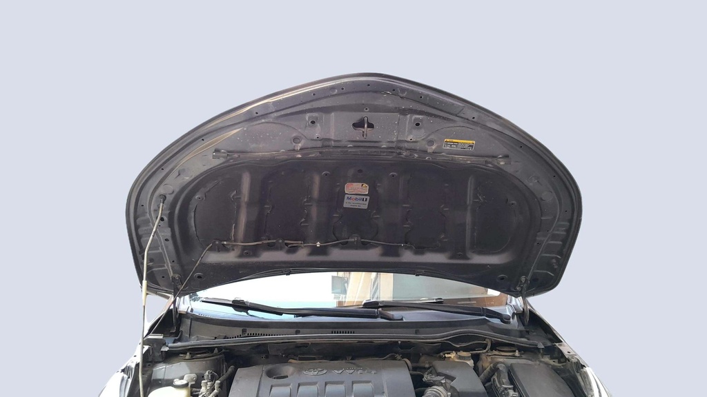 CAR HOOD