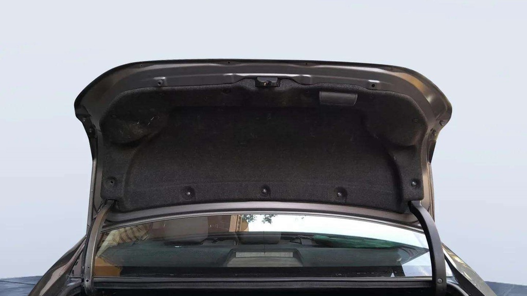 TRUNK HOOD