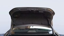 TRUNK HOOD