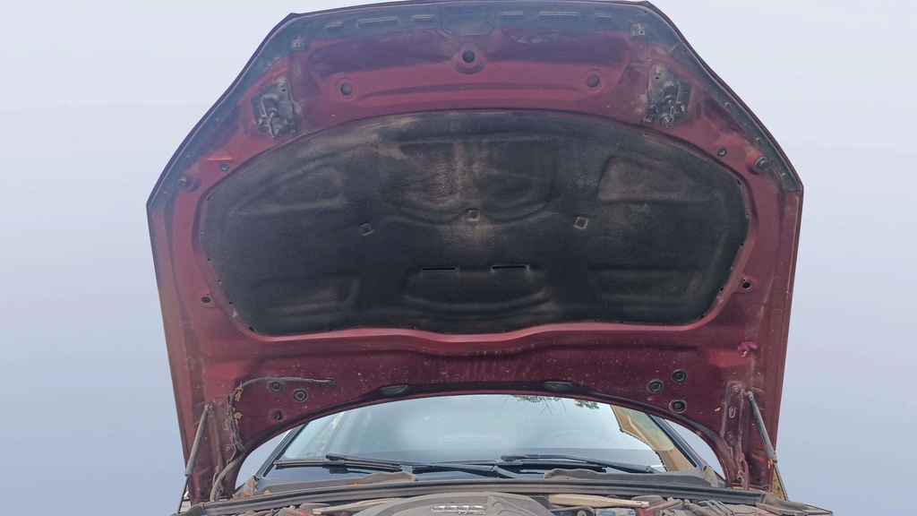 CAR HOOD