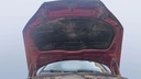 CAR HOOD