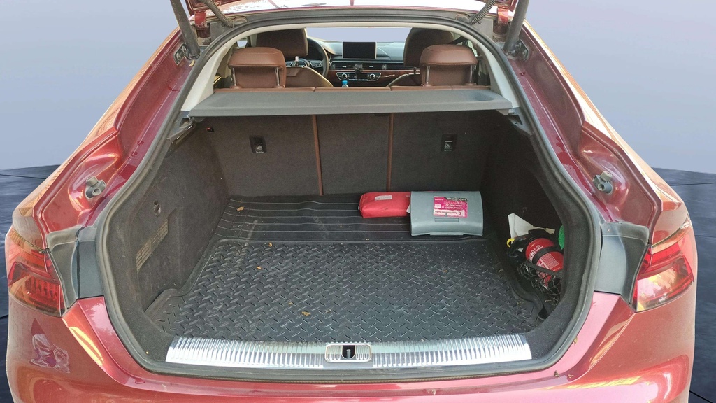 TRUNK