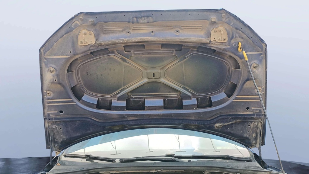 CAR HOOD