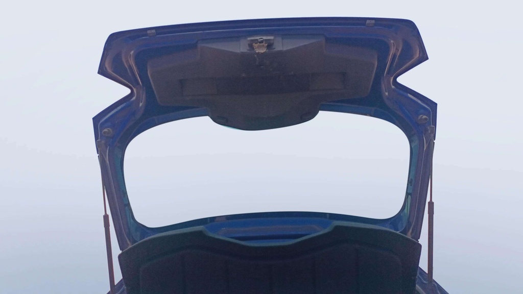 TRUNK HOOD