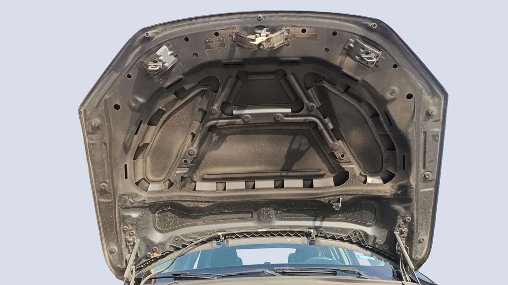 CAR HOOD