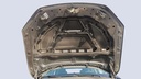 CAR HOOD