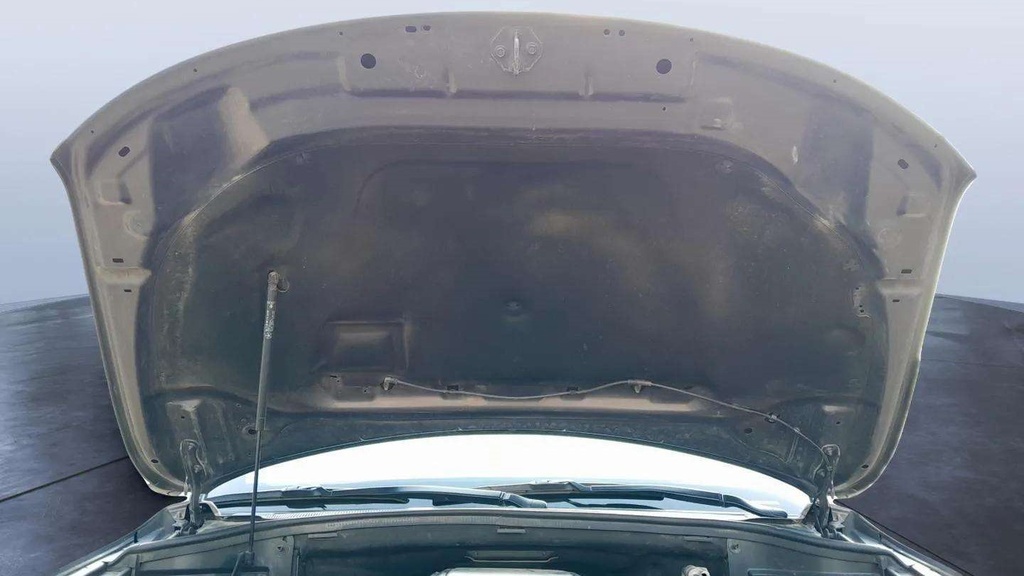 CAR HOOD