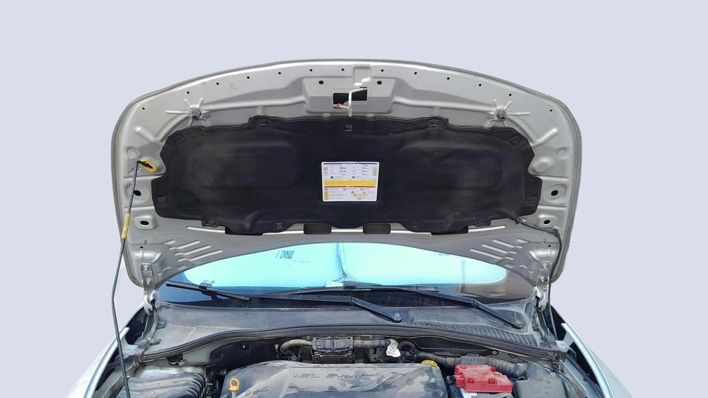 CAR HOOD