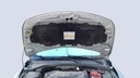 CAR HOOD