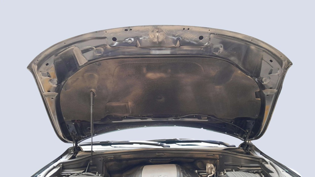 CAR HOOD