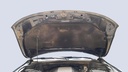 CAR HOOD