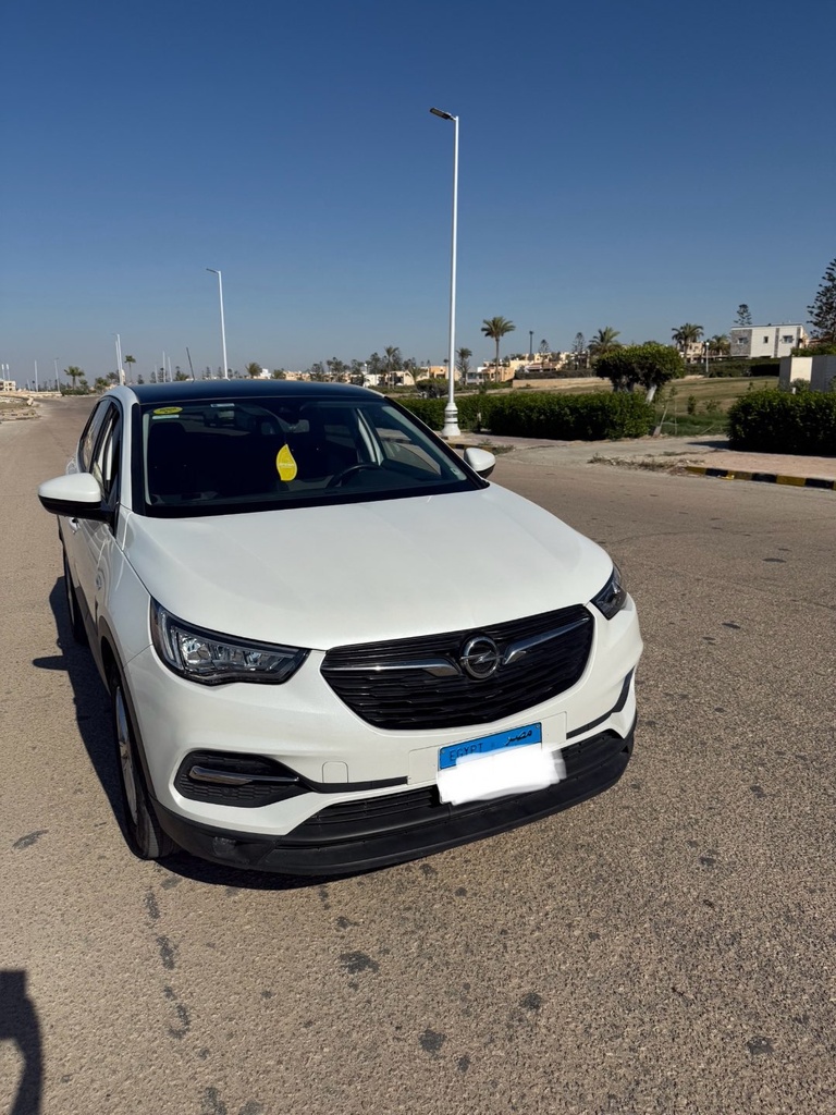 Opel Grandland 2020 1st Category