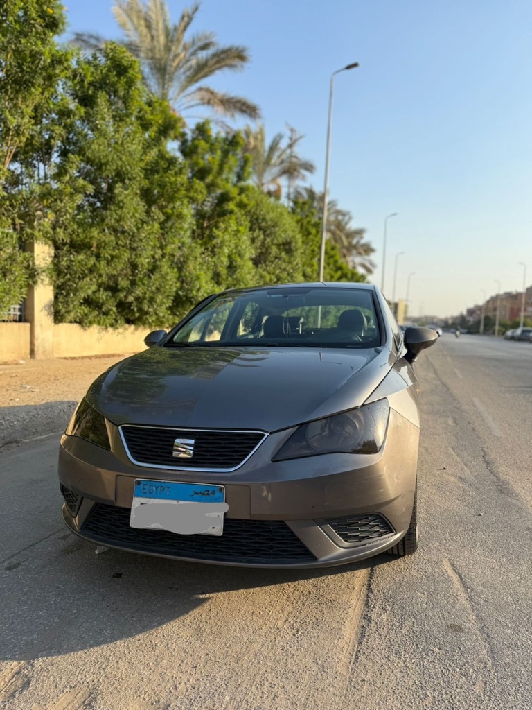 Seat Ibiza 2015 1st Category
