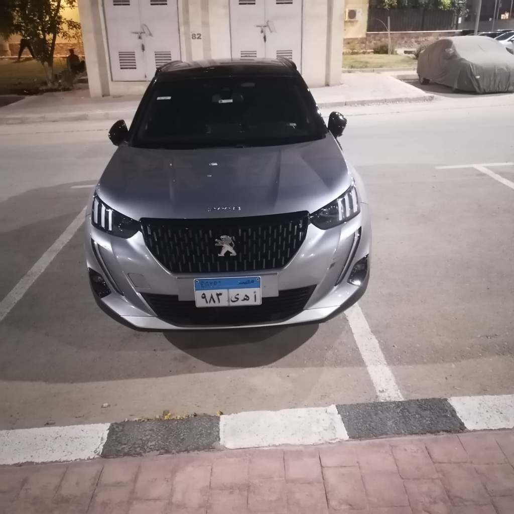 Peugeot 2008 2021 3rd Category