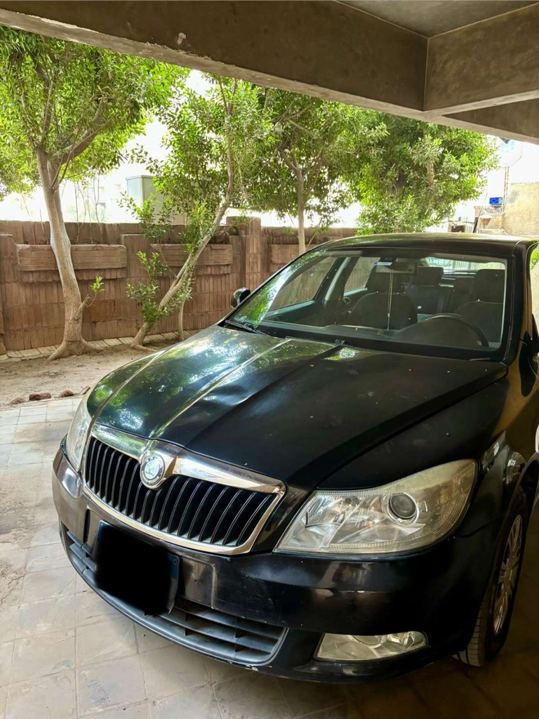 Skoda Fantasia 2010 1st Category