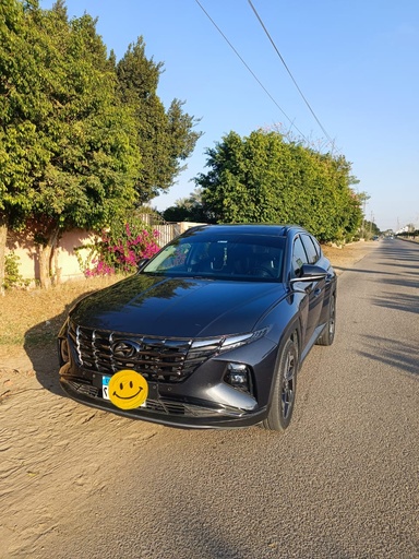 صورة العربية