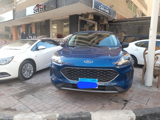 صورة العربية